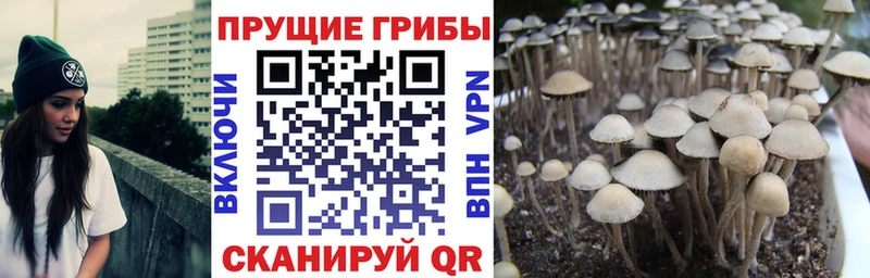 Купить где  Ижевск  Галлюциногенные грибы MAGIC MUSHROOMS 